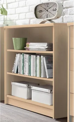 A light wood bookshelf with books, a green pot, and two white storage boxes.