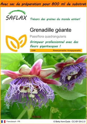 Image de SAFLAX Garden in the bag - Grenadille géante - 12 graines - Passiflora