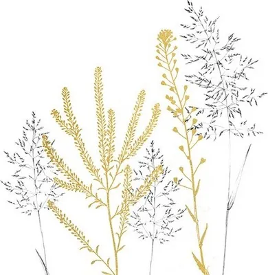 Immagine prodotto di 20 tovaglioli Simple Elegance dorati - Discrete erbe 33x33 cm