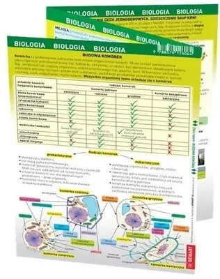 Productafbeelding van Maxi Samenvatting - Biologie - een gezamenlijk werk