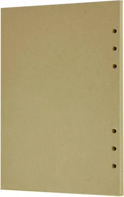 Productafbeelding van Papier Navulling - Losbladig Papier - Plannen Maken - 100 gsm Dik - A5 6 Gaten - Kraft