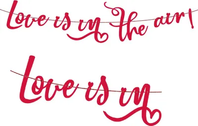 Image de Papiergirlande Love is in the air 200cm (Bannière pour fête)