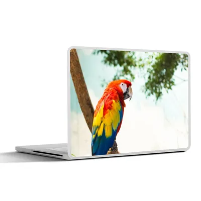 Produktbild von MuchoWow® Laptop Aufkleber Sticker Cover Papagei - Vogel - Regenbogen - Tropisch 40x30 cm - Laptop Dekoration - Selbstklebend