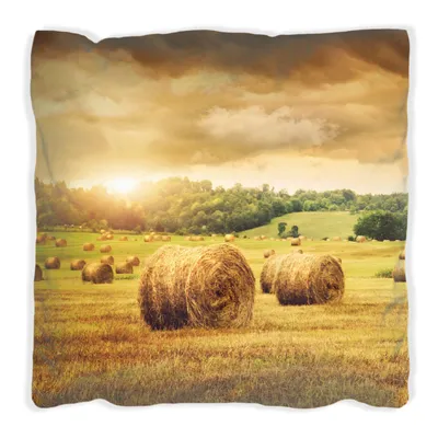Produktbild von Wallario Premium Kissen, weiche Oberfläche, mit Motiv Strohballen auf dem Feld bei Sonnenuntergang, Größe: 60 x 60 cm, mit weißer Rückseite