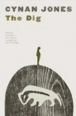 Productafbeelding van The Dig