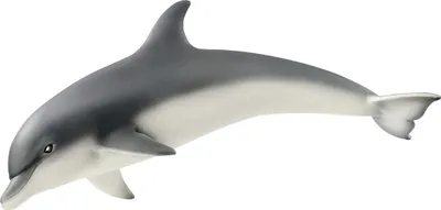 Produktbild von Schleich® Wild Life 14808 Delfin Spielfigur