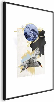 Produktbild von Posterpapier Poster - Antarctic Tern 60x90 cm Tiere g-A-0164-ao-a
