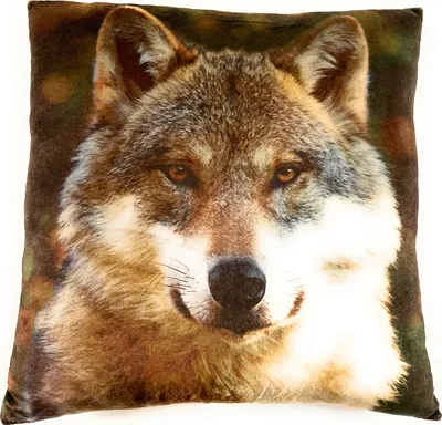 Obrázok produktu pre Onwomania husky vlk pes plyšový vankúš na pohovku alebo posteľ ako dekorácia alebo plyšový vankúš 35x35 cm