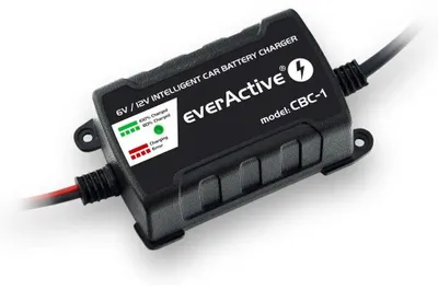 Image de Chargeur de batterie de voiture everActive CBC1 6V/12V