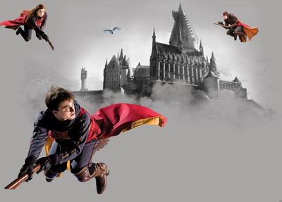 Sanders & Sanders plagát Harry Potter Hogwart šarymIczerwonym - 601249 - 1,1 x 1,55 m