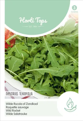 Produktbild von Salatrauke - Selvatica Diplotaxis Erucoides | Rucola- / Raukesamen von Hortitops