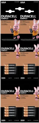 Obrázek produktu pro Alkalické baterie DURACELL Basic AAA LR03 16ks