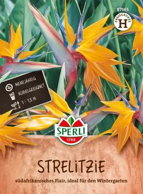 Produktbild von Paradiesvogelblume (Strelitzia reginae) | Streliziasamen von Sperli