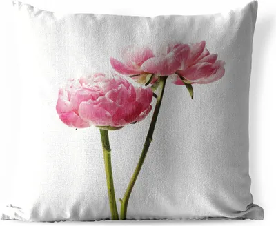 Produktbild von MuchoWow® Outdoor Kissen - Blumen - Blüte - Rosa - 40x40 cm - Wetterfest - Lounge Kissen - Kopfkissen - Interieur - Polster mit Bild