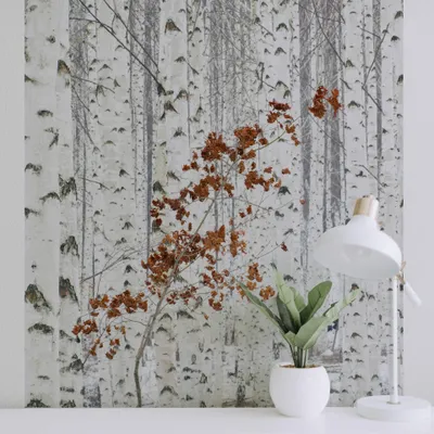 Produktbild von A.S. Création Vlies Fototapete Birkenwald - White Birch Forest DD119078  Tapete