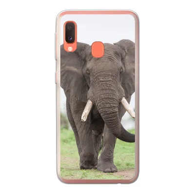 Produktbild von MuchoWow® Handyhülle Schutzhülle Hülle für Samsung Galaxy A20e Elefant - Tiere - Gras - Natur Silikon Softcase Handy Hülle - Abdeckung