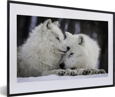 Produktbild von MuchoWow® MuchoWow® Gerahmtes Poster Wölfe - Schnee - Familie 60x40 cm - Poster mit zchwarzem Bilderrahmen - Schlafzimmer - Plakat in Rahmen - Drucken