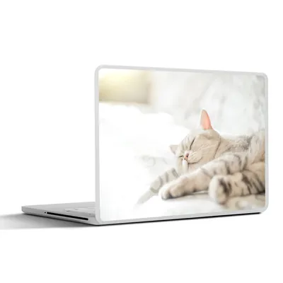 Produktbild von MuchoWow® Laptop Aufkleber Sticker Cover Die Katze schläft auf dem Sofa 25x18 cm - Laptop-Deko