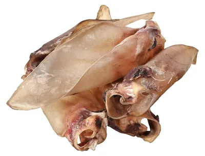 Image de PETITTO Oreille de bœuf avec cartilage - friandise pour chiens - 10
