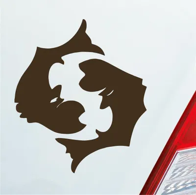 Produktbild von Auto Aufkleber Sternzeichen Fisch KFZ Roller 8,5x10 cm Braun Sticker Heckscheibenaufkleber