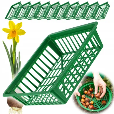 Produktbild von KADAX Pflanzkorb für Blumenzwiebeln, Anzuchtskorb aus Kunststoff, Anzuchtsschale für Gemüsepflanzen