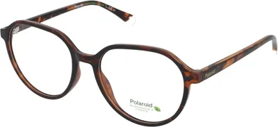 Produktbild von Polaroid Sonnenbrille PLD D468 086 53 17 145