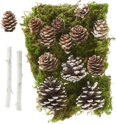 Produktbild von VBS Potpourri-Mix Wald, 16 Naturmaterialien, weiß, mit Tannenzapfen, Moos und 10,5 cm Ästen, für Gestecke und Tischdekorationen