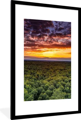 Produktbild von MuchoWow® Gerahmtes Poster Wald - Nacht - Himmel - Horizont - Bäume 60x90 cm - Poster mit Schwarzem Bilderrahmen Wandposter Rahmen Foto Bilder - Dekoration - Wandposter Wohnzimmer - Hochwertig