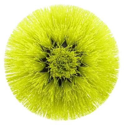 Image de RYOBI - Brosse douce pour le nettoyage de surfaces multiples – Diamètre 110 m
