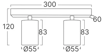 Produktbild von LED Deckenstrahler 2-flammig GU10 schwenkbar 350° drehbar – moderner Deckenspot Schwarz Braytron