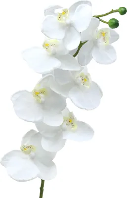 Produktbild von Künstliche Orchidee Weiß 77cm Dekoblume Hochzeitstischdeko