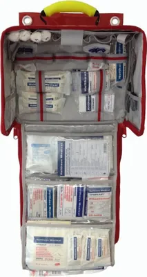 Produktbild von Holthaus Medical Wandtasche Paramedic gefüllt mit DIN 13169