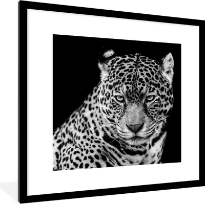 Produktbild von MuchoWow® Gerahmtes Poster Leopard - Tiere - Schwarz - Weiß - Porträt 40x40 cm - Poster mit Schwarzem Bilderrahmen Wandposter Rahmen Foto Bilder - Poster - Plakat im Rahmen