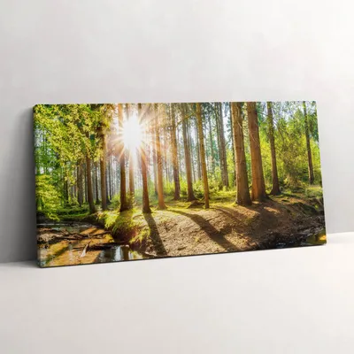 Produktbild von Die Sonne hinter den Bäumen im Wald – Leinwandbild Wandbild – 100x50 cm – Leinwandbilder – Wandbilder – Schlafzimmer – Flur