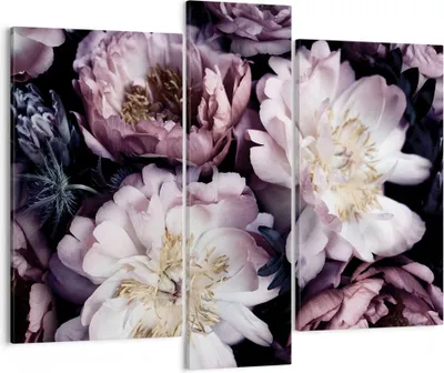 Produktbild von Bild auf Leinwand - Leinwandbild - 3 Teile - Pfingstrosen Veilchen Blumen - 95x80cm - Wand Bild - Wanddeko - Wandbilder - Leinwanddruck - Bilder - Wanddekoration - Leinwand bilder - CB95x80-5076