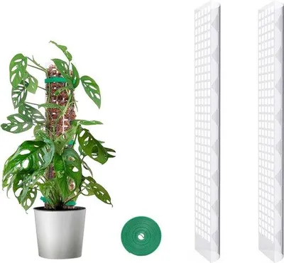Produktbild von Famanu Moosstab Unterstützung für Kletterpflanzen mit Klettverschluss - 61 cm, 2 Stück
