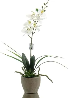 Produktbild von GASPER Orchideenarrangement Weiß im schwarzen Topf 45 cm - Kunstblumen