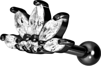 Produktbild von Ohrpiercing Chirurgenstahl Ohrpiercing LOTUSBLÜTE + KRISTALLE