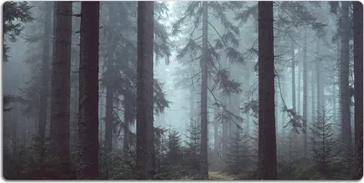 Produktbild von Schreibtischmatte Tischunterlage 100x50 cm Mauspad - Nebeliger Wald