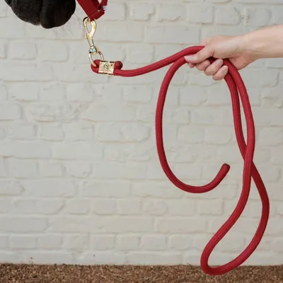 Obrázok produktu pre Kentucky Basic Führstrick Rot 2 m Rot 2 m