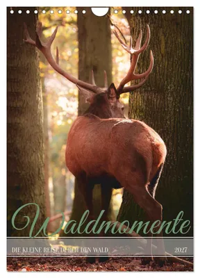 Produktbild von Waldmomente (Wandkalender 2027 DIN A4 hoch), CALVENDO Monatskalender