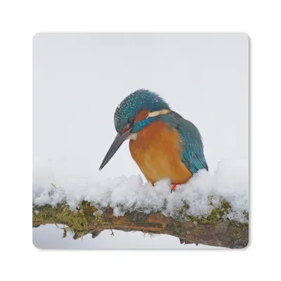 Produktbild von MuchoWow® Mauspad Mousepad Eisvogel - Schnee - Winter 30x30 cm - Mousepads - Maus Mat - Pad - Mausunterlage - Gaming