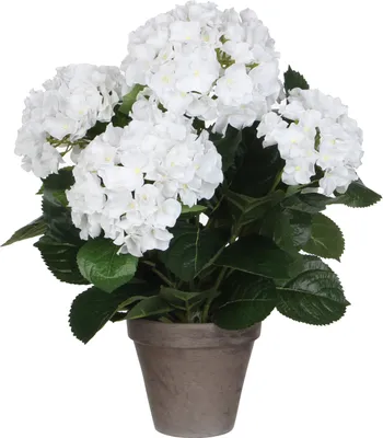 Zdjęcie produktu dla Sztuczna roślina Mica Decorations Hydrangea - H45 x Ø45 cm - Biały