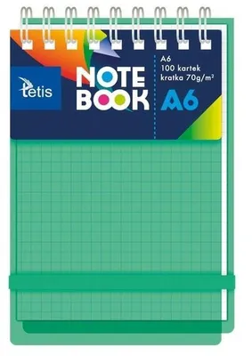 Productafbeelding van Tetis notitieboekje A6, 100 pagina's, geruit, groen