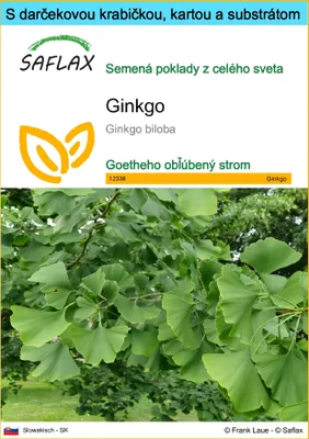 Obrázok produktu pre SAFLAX Darčeková sada - ginkgo - Ginkgo biloba - 4 Semená - S darčekovou krabičkou, prepravným štítkom, darčekovou kartou a pestovateľským médiom