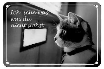 Produktbild von Blechschild Katze 18x12cm ich sehe was du nicht siehst