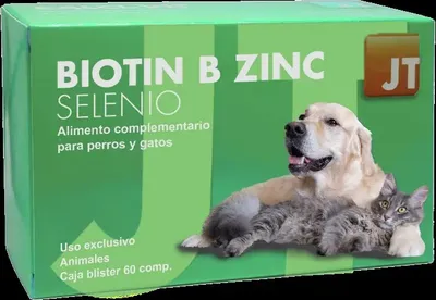 Productafbeelding van JT BIOTINE B ZINKSELEN 60 capsules