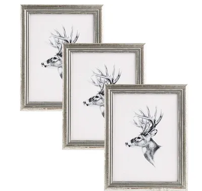 Image de Cadre photo en bois avec verre véritable | Argenté | 50x70 cm