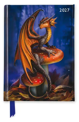 Produktbild von Anne Stokes - Taschenkalender 2027