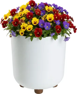Produktbild von HowHomely | Pflanzkübel mit Füßen - Blumentopf - weiß - 21 x 19 cm - aus Recyclingmaterial - Übertopf – Pflanztopf